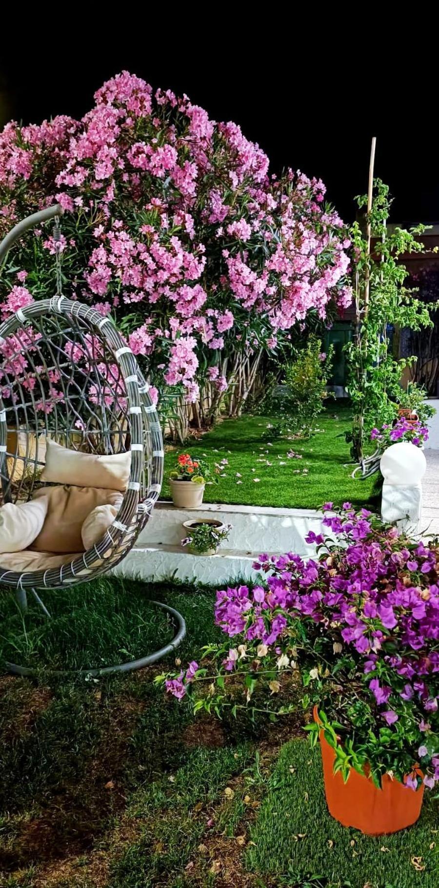 La Smeralda - Boutique Rooms And Breakfast Голфо Аранчи Екстериор снимка